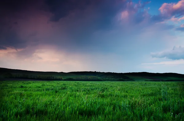 Beautiful night field view — Stock Photo, Image