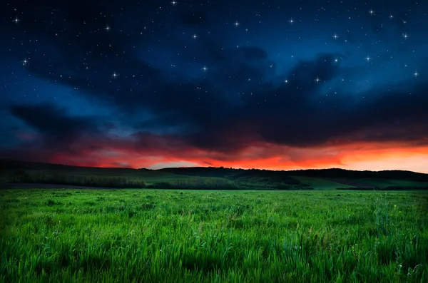 Prachtige nacht veld en hemel met sterren — Stockfoto