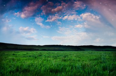 Güzel bir gece alan ve gökyüzü yıldızlarla