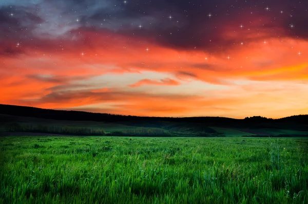 Güzel bir gece alan ve gökyüzü yıldızlarla — Stok fotoğraf