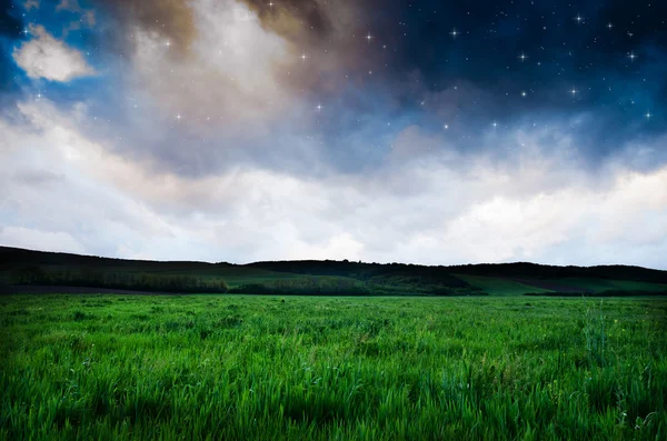 Vacker natt fältet och himmel med stjärnor — Stockfoto