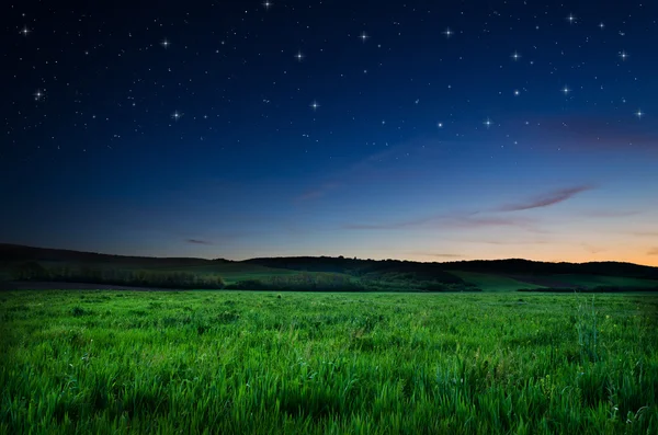 Krásná noc pole a obloha s hvězdami — Stock fotografie