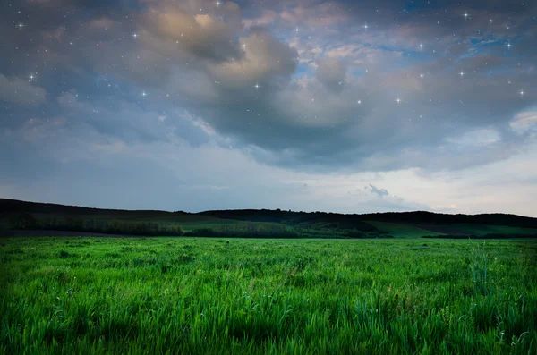 Belo campo noturno e céu com estrelas — Fotografia de Stock