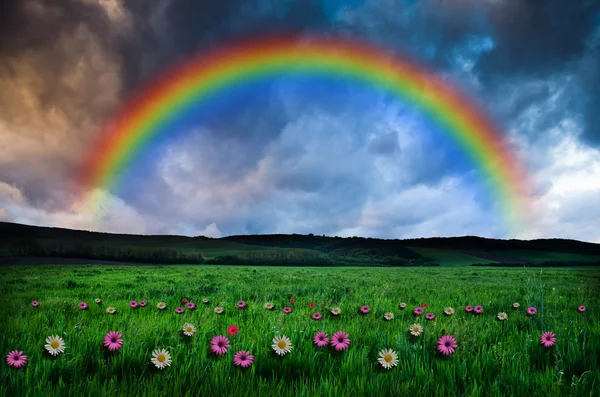 Beautiful rainbow background — Stock Photo, Image