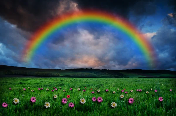 Beautiful rainbow background — Stock Photo, Image