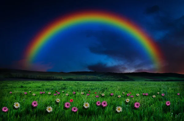 Beautiful rainbow background — Stock Photo, Image