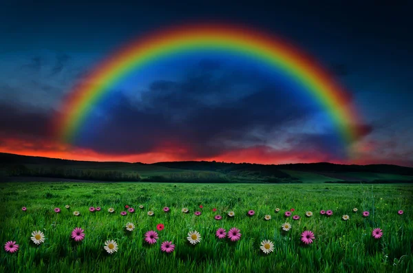 Hermoso fondo arco iris —  Fotos de Stock