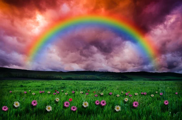 Beautiful rainbow background — Stock Photo, Image