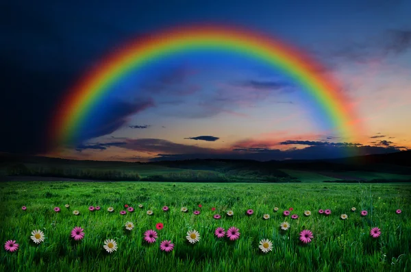 Beautiful rainbow background — Stock Photo, Image