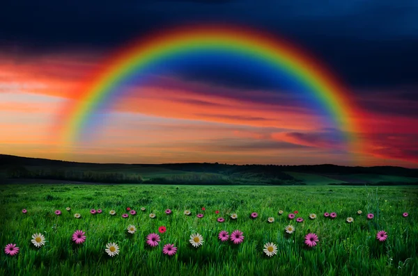 Beautiful rainbow background — Stock Photo, Image