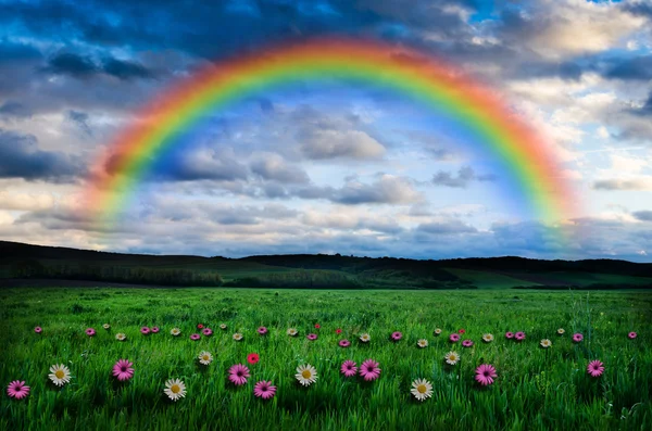 Beautiful rainbow background — Stock Photo, Image