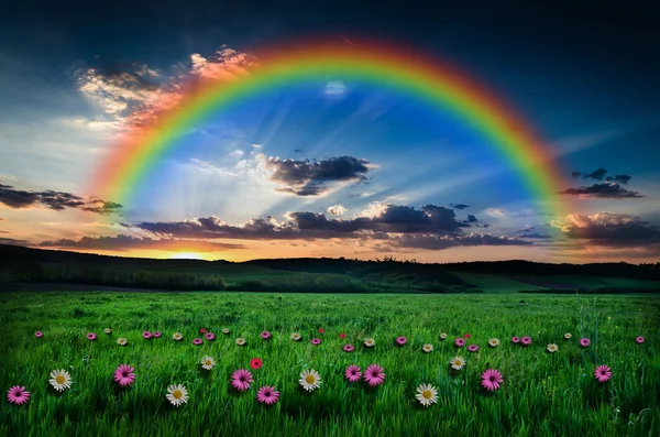 Beautiful rainbow background — Stock Photo, Image