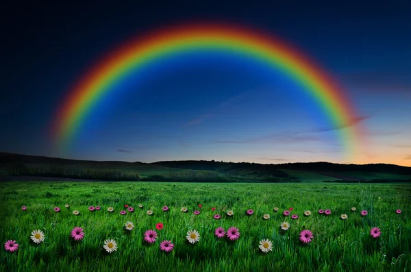 Beautiful rainbow background — Stock Photo, Image