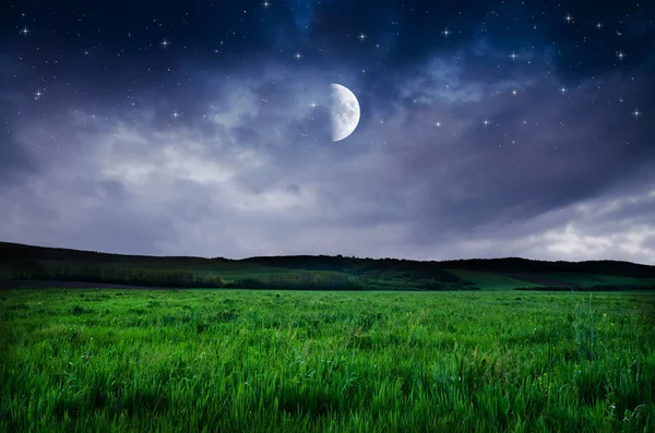 夜の空とフィールドの背景 — ストック写真