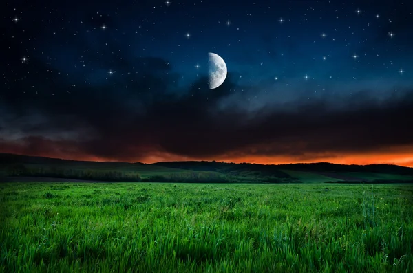 Night sky and field background — Stock Photo, Image