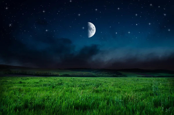 Night sky and field background — Stock Photo, Image