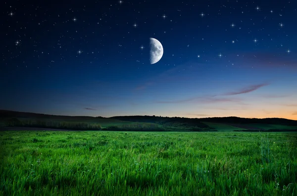 Cielo nocturno y fondo de campo — Foto de Stock