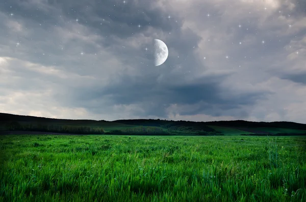 Cielo notturno e sfondo campo — Foto Stock