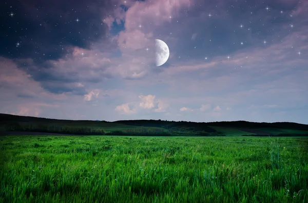 Cielo notturno e sfondo campo — Foto Stock