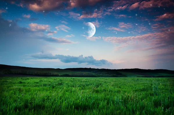 Cielo notturno e sfondo campo — Foto Stock