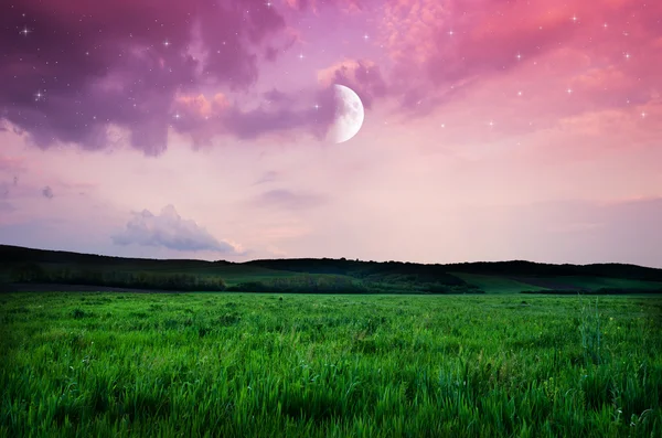 Cielo nocturno y fondo de campo — Foto de Stock