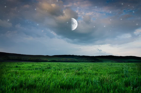 Night sky and field background — Stock Photo, Image