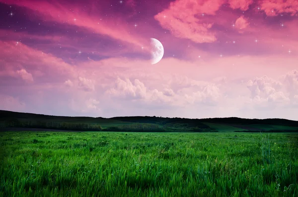 Night sky and field background — Stock Photo, Image
