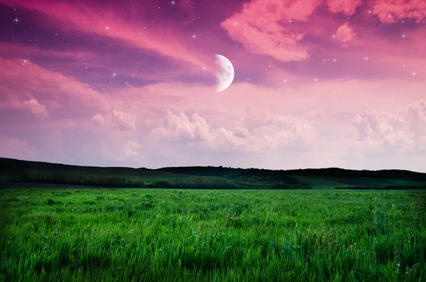 Cielo nocturno y fondo de campo — Foto de Stock