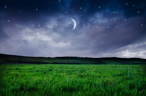 Cielo nocturno y fondo de campo —  Fotos de Stock