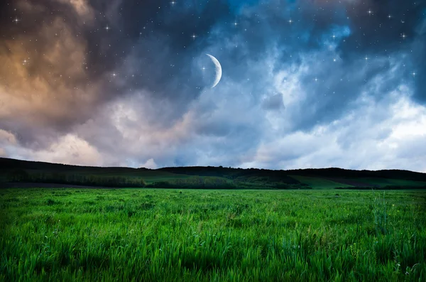Nacht hemel en veld achtergrond — Stockfoto