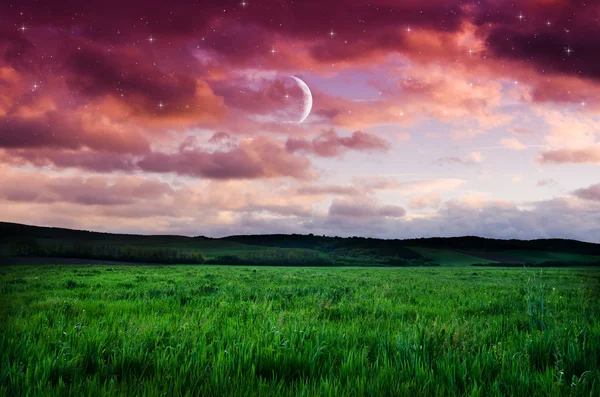 Nattehimmel og feltbakgrunn – stockfoto