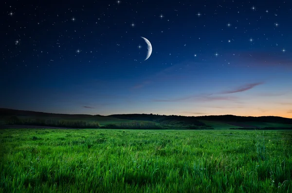 Cielo nocturno y fondo de campo — Foto de Stock