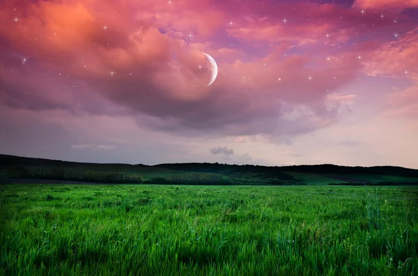 Nacht hemel en veld achtergrond — Stockfoto