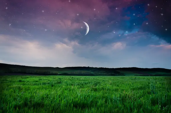 Nacht hemel en veld achtergrond — Stockfoto