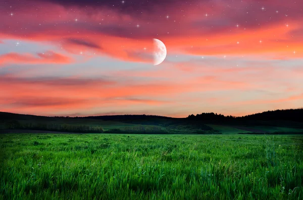 Nacht hemel en veld achtergrond — Stockfoto