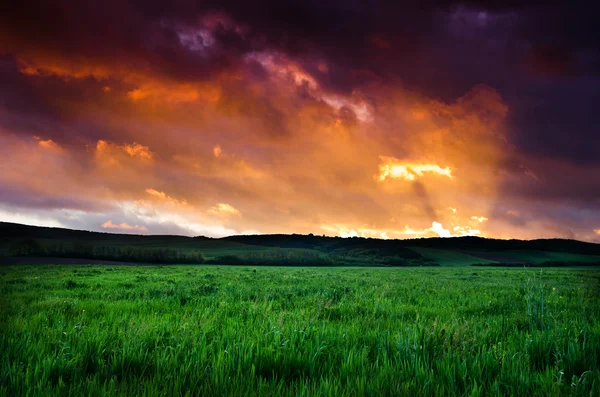 Feld und dramatischer Blick auf den Himmel — Stockfoto