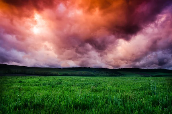 Pole a dramatická obloha pohled — Stock fotografie