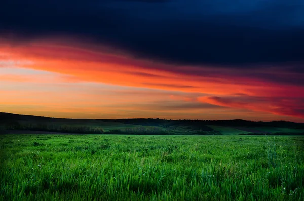 Field and dramatic sky view — Stock Photo, Image