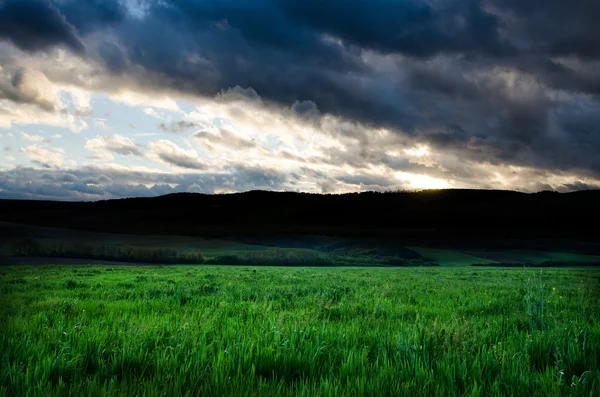 Veld en dramatische lucht uitzicht — Stockfoto