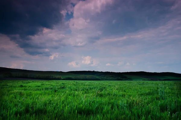 Field and dramatic sky view — Stock Photo, Image