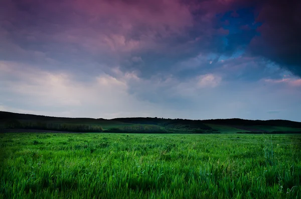 Feld und dramatischer Blick auf den Himmel — Stockfoto