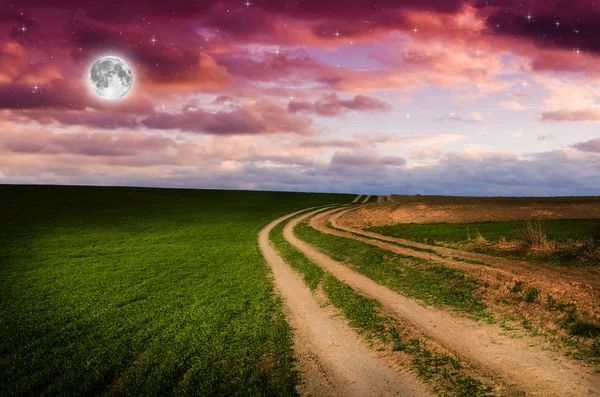 田舎道と夜の星空 — ストック写真