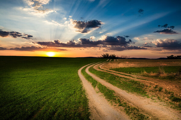 Rural road in the night