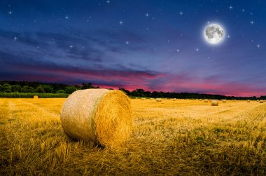 Hay bales in the night clipart