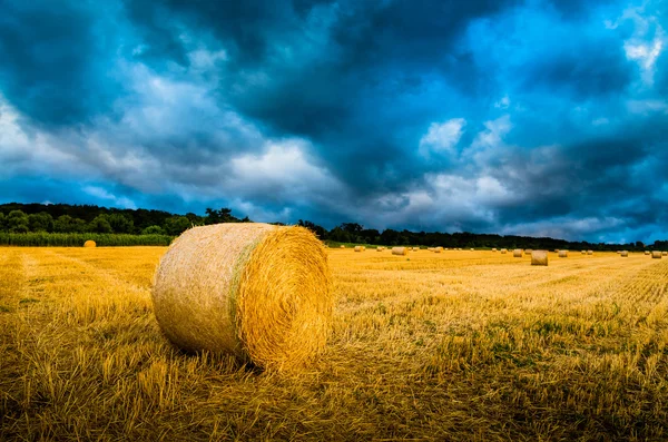 Hay bales on the field — Stock Photo, Image