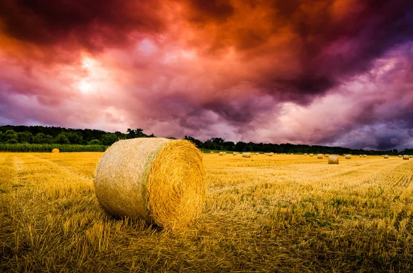 Heuballen auf dem Feld — Stockfoto