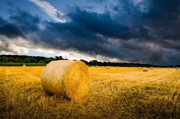 Balles de foin sur le terrain — Photo