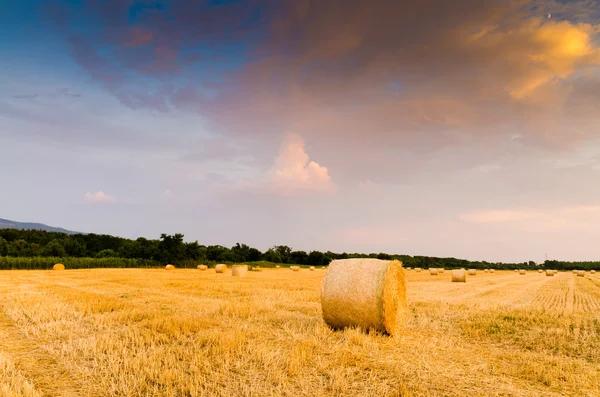 Heuballen auf dem Feld — Stockfoto