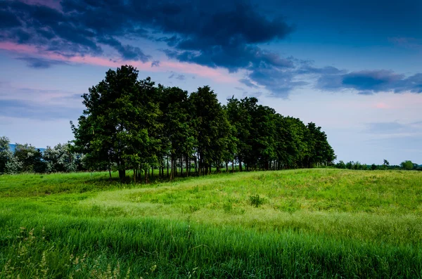 Nacht Landschaft Ansicht — Stockfoto