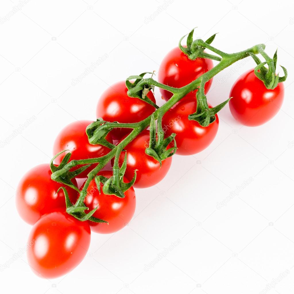 tomatoes on the green vine